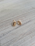 Gold color seashell earrings with surgical steel post