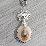 Real seashell, set of necklace, bangle, and ring