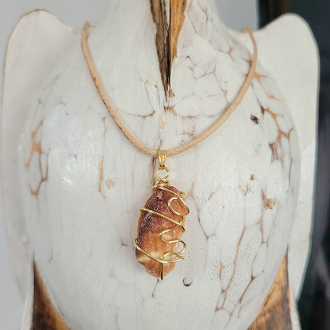 Cord necklace with real sea shell charm